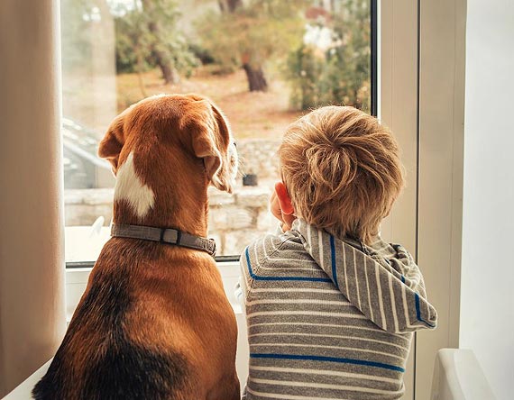 Pies – przyjaciel czy wrg maego dziecka?