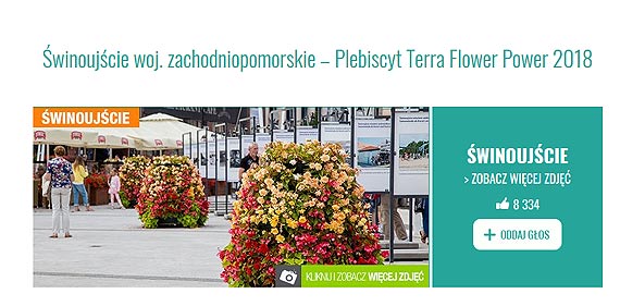 Trwa Plebiscyt Terra Flower Power 2018