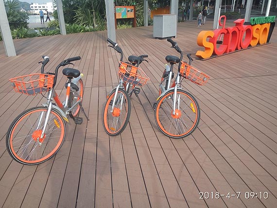 Singapur a winoujski rower miejski. Zobacz film!